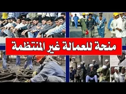 فرصة ذهبية للعمالة غير المنتظمة 2026.. الشروط وطريقة التقديم خطوة بخطوة عبر الرابط الرسمي بسهولة