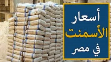 قطاع البناء في حالة ترقب.. واستقرار أسعار الأسمنت يفرض نفسه في الأسواق المصرية