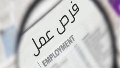 فرصتك الآن.. التقديم على 1200 وظيفة براتب يصل إلى 9000 جنيه من وزارة العمل خطوة بخطوة