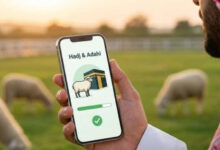 احجز أضحيتك الآن في الجزائر 2026.. أسعار الكباش وطريقة التسجيل عبر منصة “ألفيار” خطوة بخطوة بسهولة وأمان