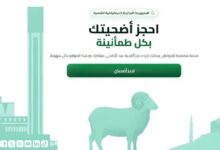 حل رقمي مريح للمواطنين.. منصة أضاحي لحجز كباش عيد الأضحى 2026 في دقائق