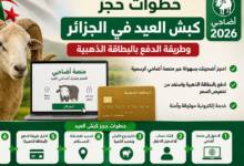 حجز أضاحي عيد الأضحى 2026 في الجزائر بسهولة.. طريقة التسجيل والدفع بالبطاقة الذهبية خطوة بخطوة