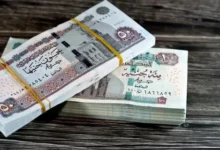 موعد صرف معاش مايو 2026 بقرار رسمي وتفاصيل مفاجآت للحالات الجديدة خلال أيام