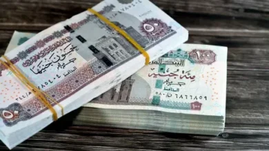 موعد صرف معاش مايو 2026 بقرار رسمي وتفاصيل مفاجآت للحالات الجديدة خلال أيام