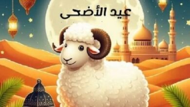 قبل عيد الأضحى.. وزارة الزراعة تطرح اللحوم والسلع بتخفيضات تصل إلى 25%