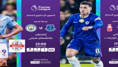 قمة الإثارة في الدوري الإنجليزي 2026.. جدول مباريات اليوم بالجولة 35 والقنوات الناقلة